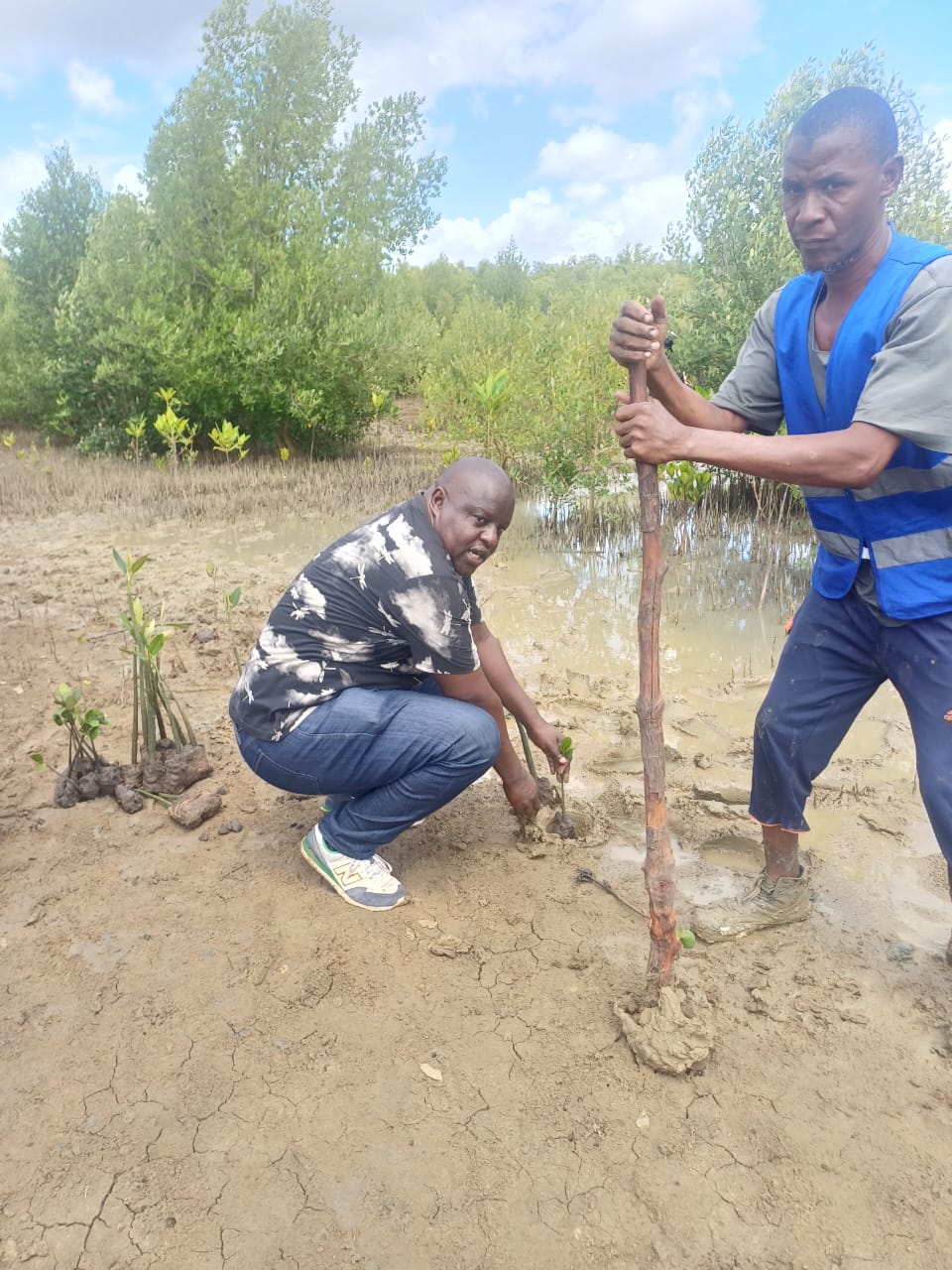 2024-10-25 1.50.36 (1)